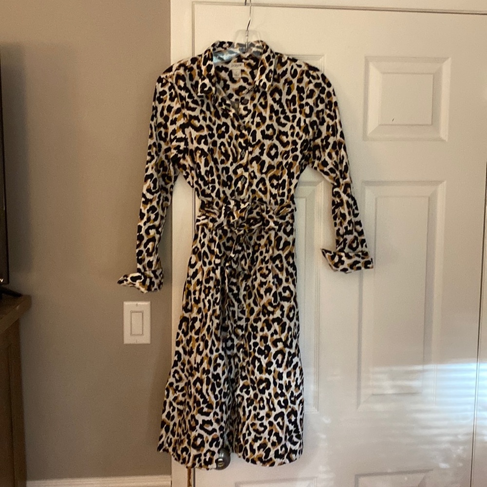 J. Crew button down dress